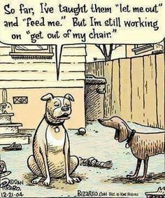 273825934_3021821008148184_6058273238001823802_n