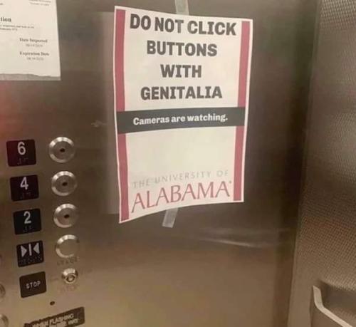 FB_IMG_1644862950193