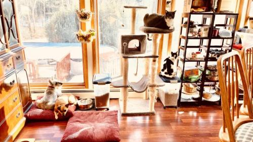 33798DB0-5F3A-4A3F-81E9-8C81962F85A0