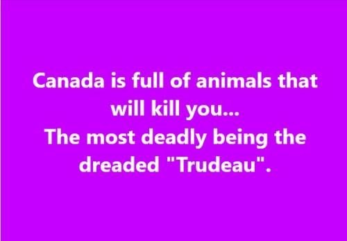 Canada Animals