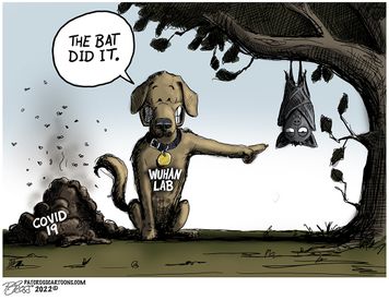 The_Bat_Did_It_Small20220218012430-375x275