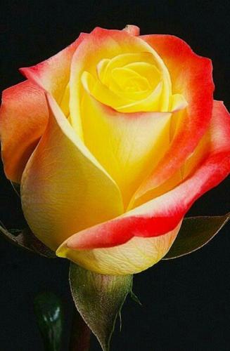 10:45:00 GMT-0600 (CST)