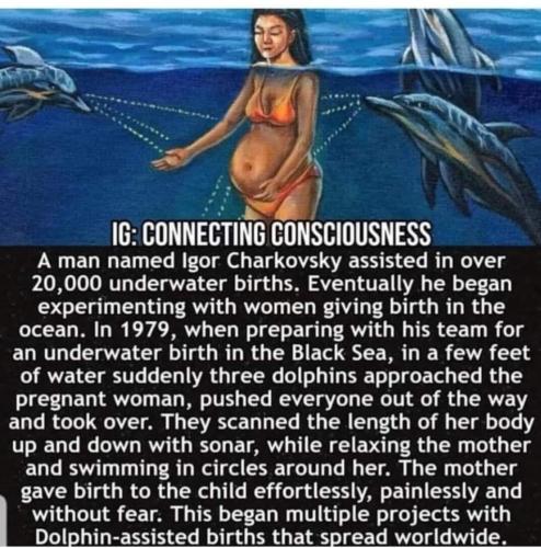 ,                                                                                                                                                                                                                       0   4l