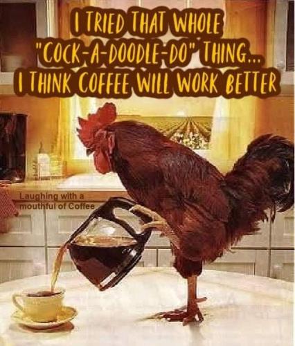 274511424_4881901458570579_2623597771902447789_n