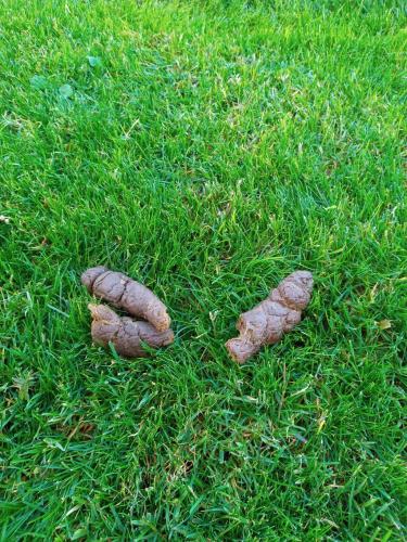 12:41:37 GMT-0700 (MST)