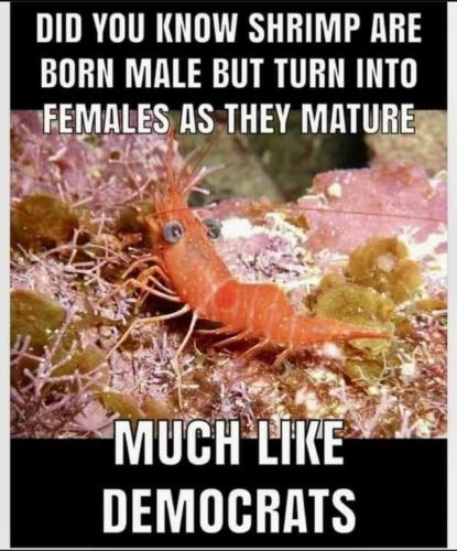 FB_IMG_1643827616420