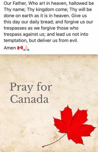 274215046_452129593276569_7837461898634540370_n