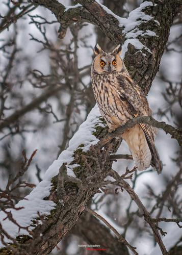 tumblr_23245a513be18efe1e9e4592903e1563_1bccbdbb_540