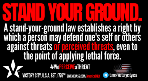 Guns Stand Your Ground 1