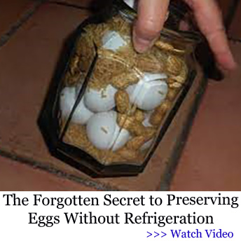 The Ingenious Method Used By The Brits To Preserve Eggs When Air Raids Took Out Their Power In 1941 (Works For Up to 10 Years)