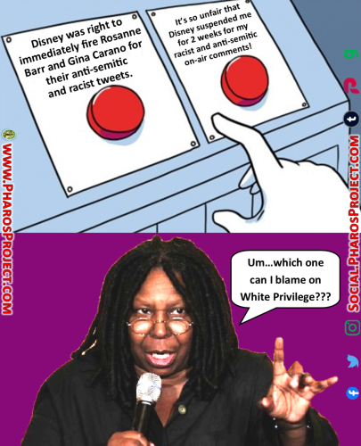 Daily Struggle - Whoopi Goldberg -Cancelled- Web-Social