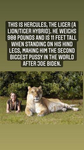 274929132_1461359210963262_3109248075966492732_n