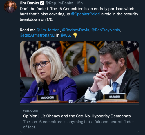 Jan 6th Witch Hunt 1