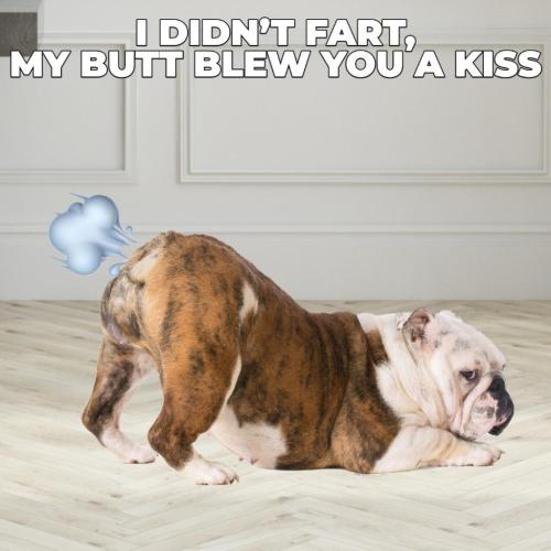 273494257_10162310817393079_2008316006714051891_n