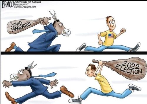 273893455_459131915908751_6607932890821198089_n