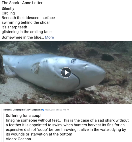 Screenshot_2022-02-09-02-57-31_kindlephoto-7596170738