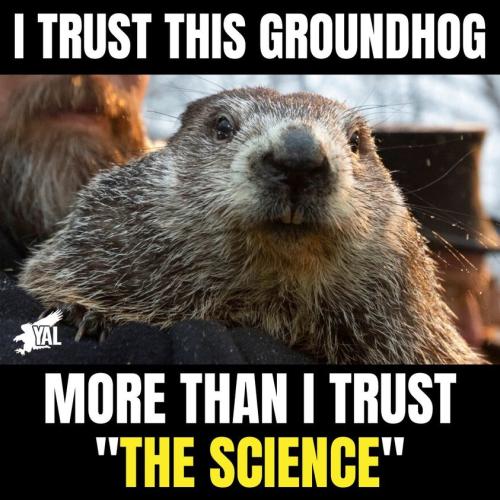 273159869_317892963710254_3991643570753598831_n