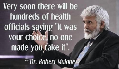 272943330_423991856189386_2757792212364325717_n