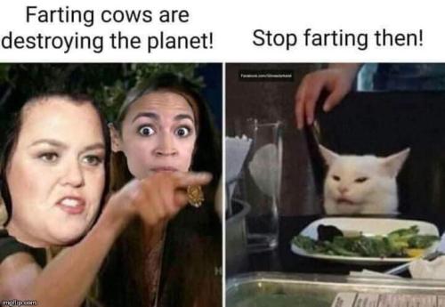 FB_IMG_1645629639984