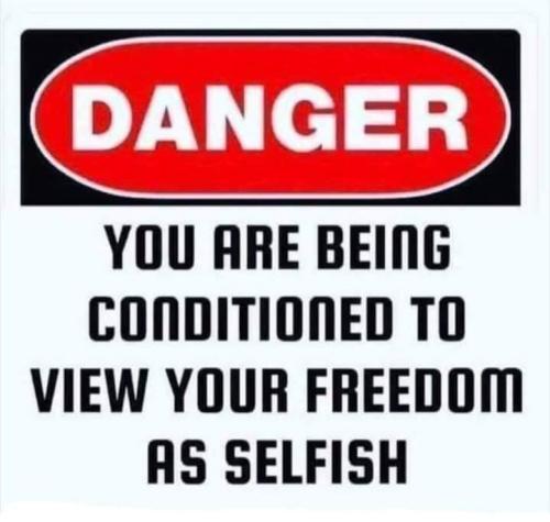 FB_IMG_1622074363118