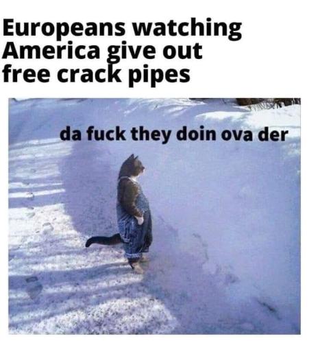 FB_IMG_1644421772926