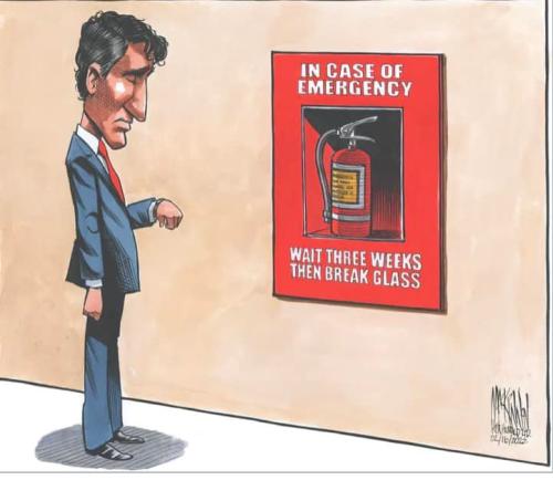 274169107_4985455628181740_4281821058761555579_n