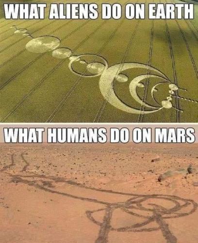 274701446_1329224990929368_4176400461900540625_n