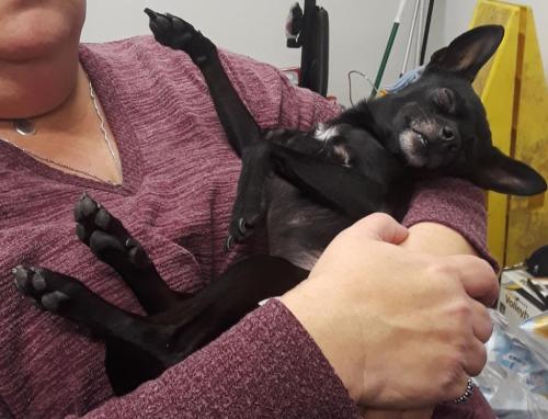 04:05:31 GMT-0500 (EST)