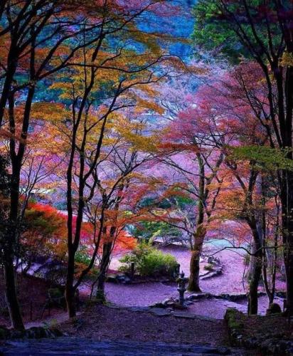 272884589_490828752413132_6335049127694352723_n