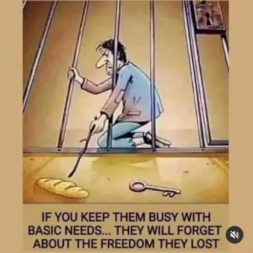 FB_IMG_1644449006870