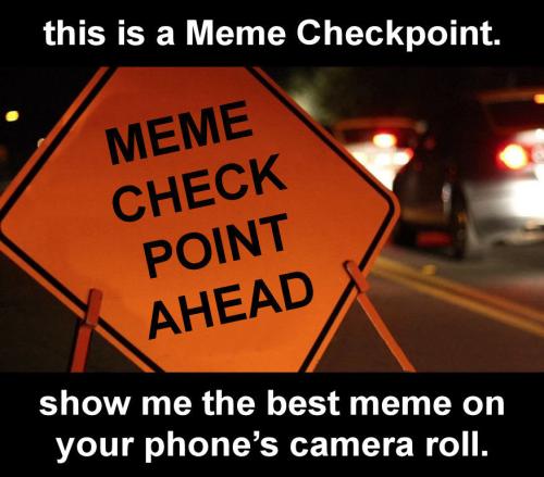 meme checkpoint01