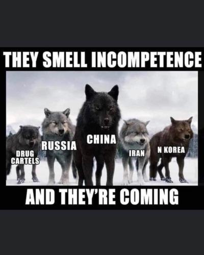 274920510_5587193141295502_7009861444461875896_n