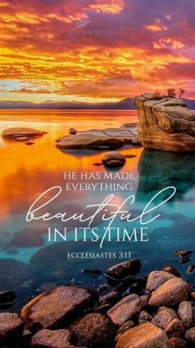 IMG_20220208_103227_210