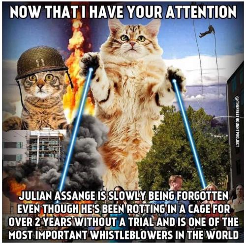 Julian Assage 1