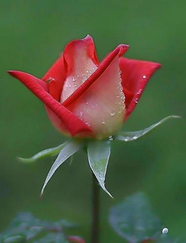 19:20:06 GMT-0600 (CST)