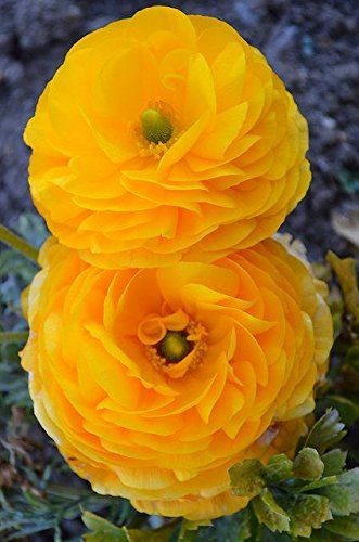 19:47:29 GMT-0600 (CST)