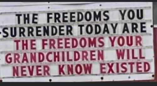 FB_IMG_1644039875427