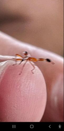 Screenshot_20220212-011940_Viber