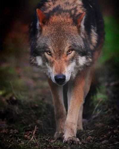 20:22:44 GMT-0600 (CST)