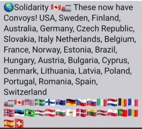 FB_IMG_1644355079768