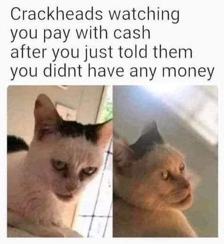 FB_IMG_1645251706159