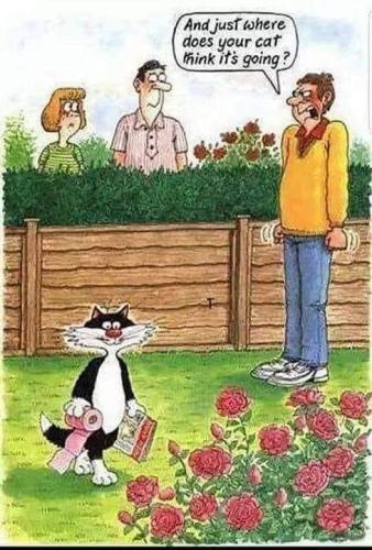 274529955_1100366184130636_1225225448152797444_n