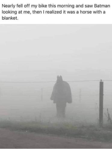 FB_IMG_1644532131057