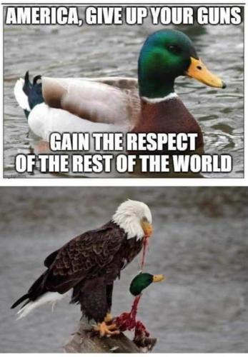 FB_IMG_1645165137436