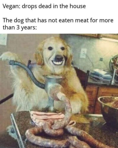 FB_IMG_1645483324271