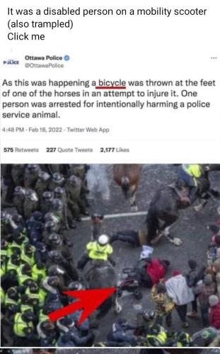 Screenshot_2022-02-19-11-07-07-20_a23b203fd3aafc6dcb84e438dda678b6