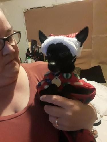 04:05:31 GMT-0500 (EST)