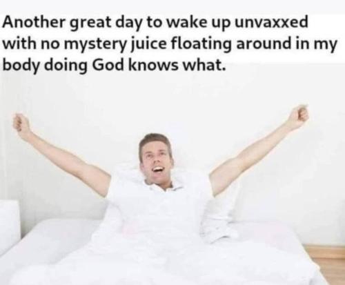 02cfbdd8-2b38-4f11-9fc9-fa6d3ea8a6cb