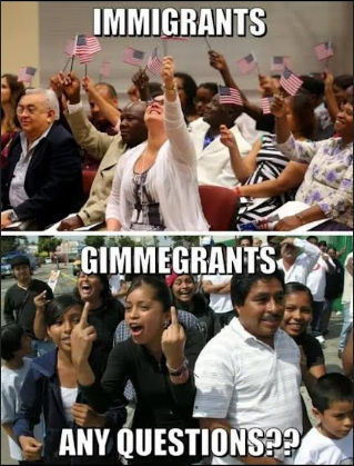 illegal immigration273
