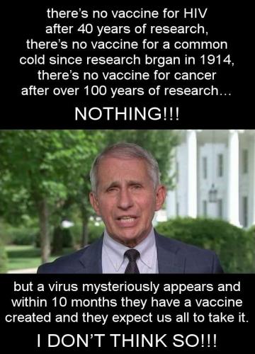vaccine529